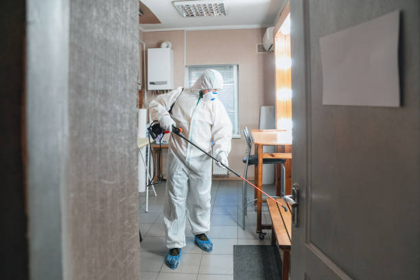 Best Asbestos and Lead Testing During Mold Inspection  in Yoncalla, OR