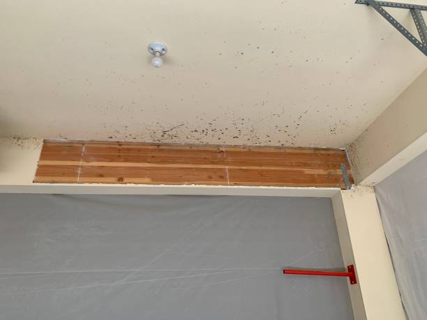 Best Indoor Air Quality Assessment  in Yoncalla, OR